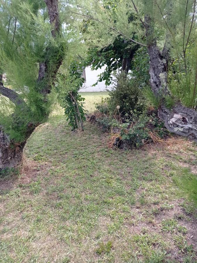 La Maison De Papou La Vigne A Nans Les Pins 83860 Экстерьер фото